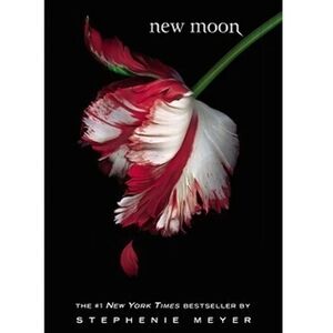 New Moon (Book 2)